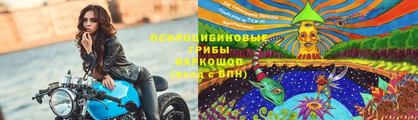ECSTASY Белоозёрский