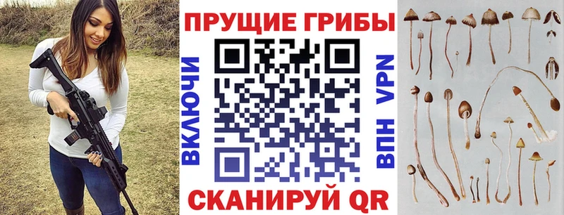 Галлюциногенные грибы ЛСД  mega tor  Маркс  хочу наркоту 
