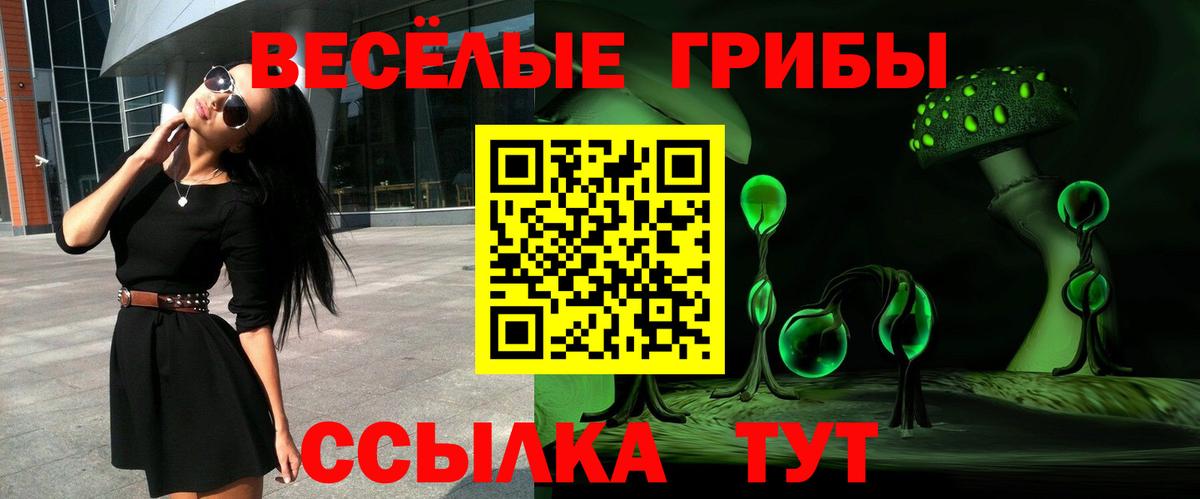 Галлюциногенные грибы Magic Shrooms  Псилоцибиновые грибы прущие грибы  Маркс  Вход с VPN 