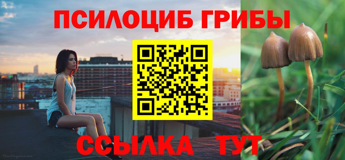 Псилоцибиновые грибы Psilocybine cubensis Маркс
